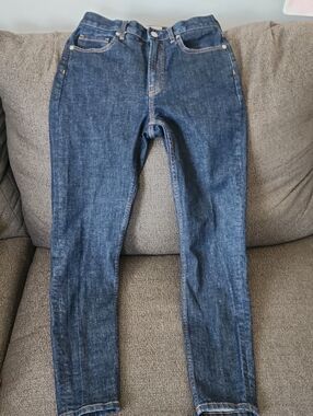 Everlane Indigo Blue Straight Jeans